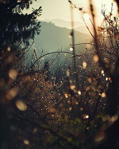 Frühlingslandschaft