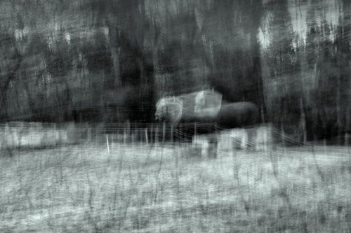 spook paarden in weiland