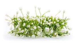 Tulpenstilleben weiß von Dirk Verwoerd