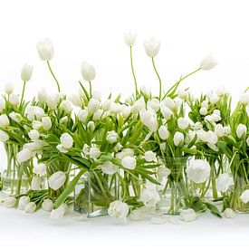 Tulips Still Life White by Dirk Verwoerd