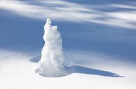 Snow covered little tree by Adelheid Smitt thumbnail