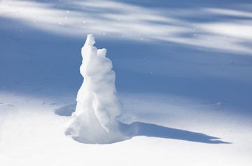 Snow covered little tree by Adelheid Smitt
