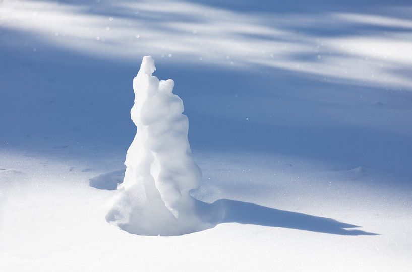 Snow covered little tree by Adelheid Smitt