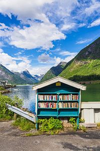 Bücherauslage in Fjærland in Norwegen
