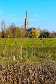 Ansicht der Kathedrale von Salisbury, gemalt von Constable