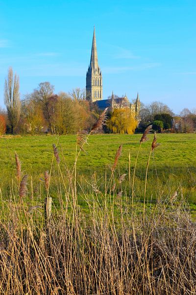 Zicht op Salisbury Cathedral zoals Constable ook schilderde van Studio LE-gals