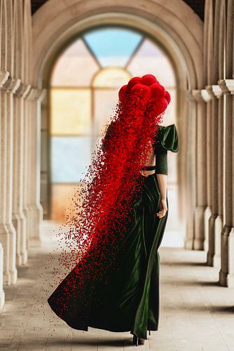 Bollenhut Renaissance ART 5.0