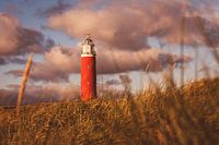 Texel lighthouse