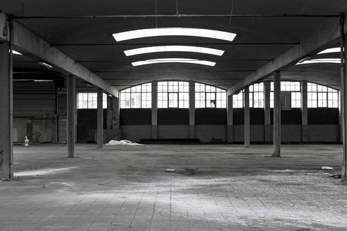 Picture of the markethalls in Meppel.