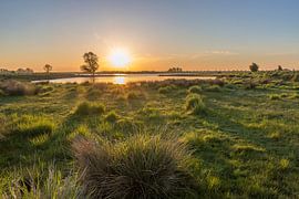 Zonsopkomst bij het Schor van Eendracht by Marcel Klootwijk