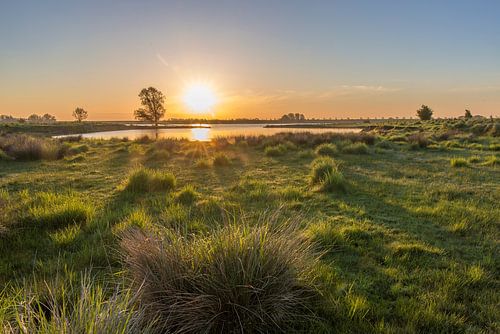 Zonsopkomst bij het Schor van Eendracht