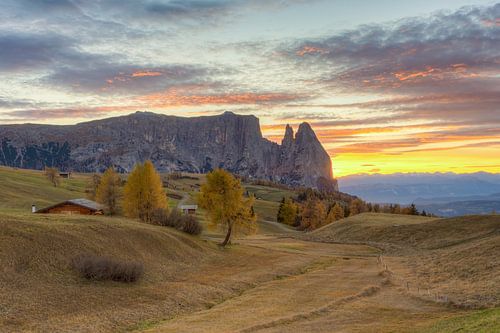 Autumn on the Alpe di Siusi