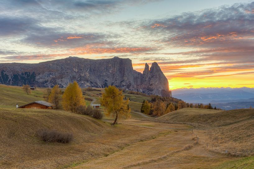 Herbst auf der Seiser Alm von Michael Valjak