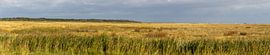 Salt marshes near the Böhler lighthouse by Alexander Wolff