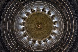 Iris sur David Van Den Dooren