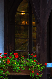 The light in the window