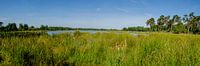 Kogelvangersven, Kampina (Panorama) van H Verdurmen thumbnail