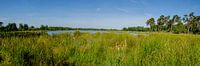 Kogelvangersven, Kampina (Panorama)