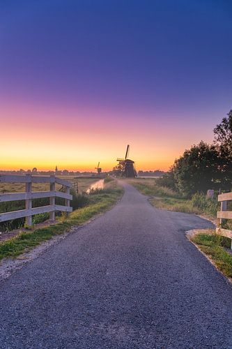 Molens langs de dijk