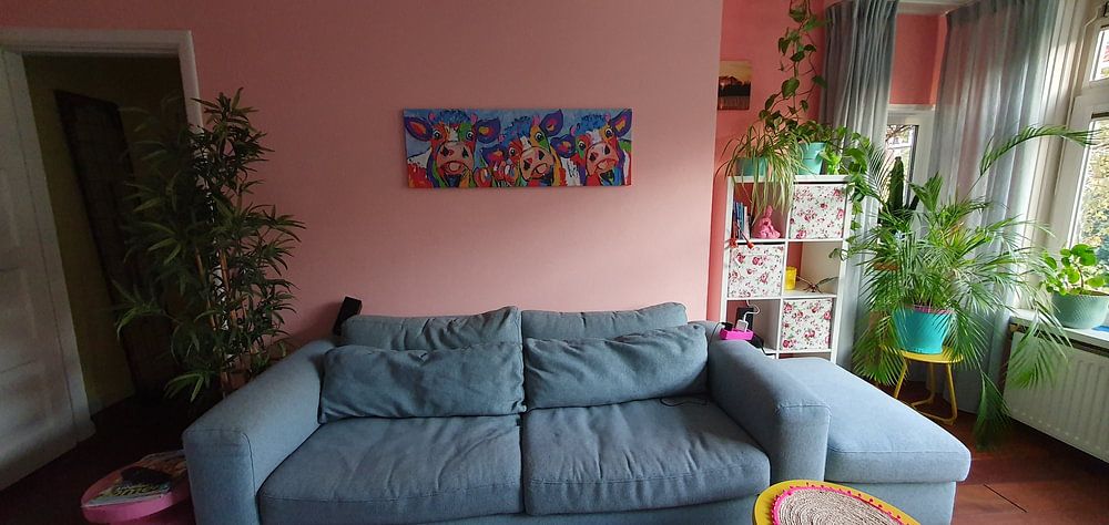 3 Colorful happy cows | Panorama by Vrolijk Schilderij