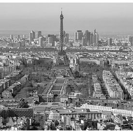 Panorama uitzicht over Parijs en de iconische Eiffeltoren van Michaelangelo Pix