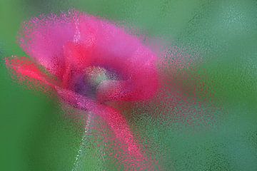 pink splashes van Yvonne Blokland