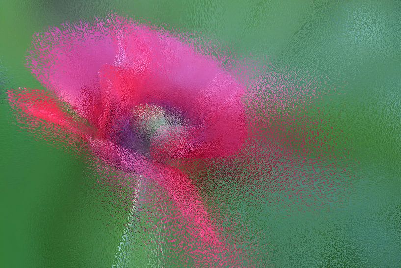 pink splashes von Yvonne Blokland