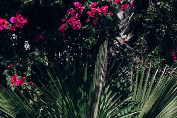 Palm trees in the summer van Shelena van de Voorde