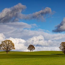 Ciel nuageux bavarois avec des arbres sur Andreas Müller