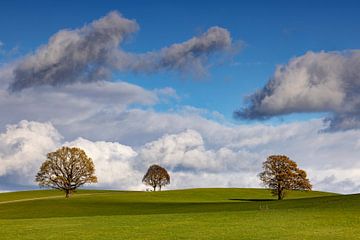 Ciel nuageux bavarois avec des arbres