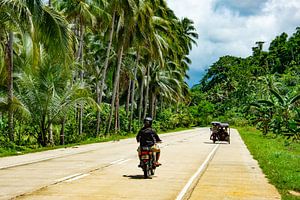 Streetview palmtrees van Anneloes vd Werff