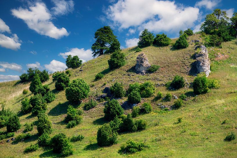 Das Naturschutzgebiet Trockenhänge bei Dollnstein von ManfredFotos