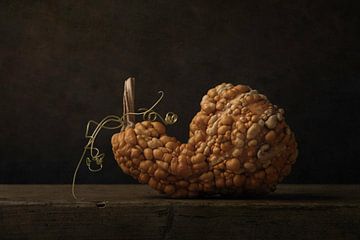 gourd by Carolien van Schie