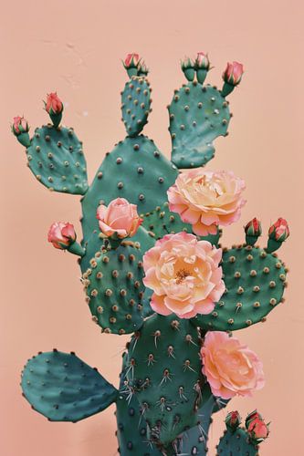 Cactusbloemen in zachte kleuren