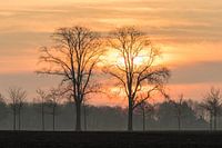 Le soleil vient de se lever