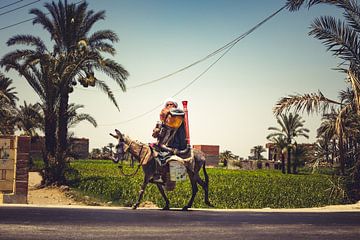 The streets of Egypt Donkey (Cairo and Fayoum) 05 by FotoDennis.com | Werk op de Muur