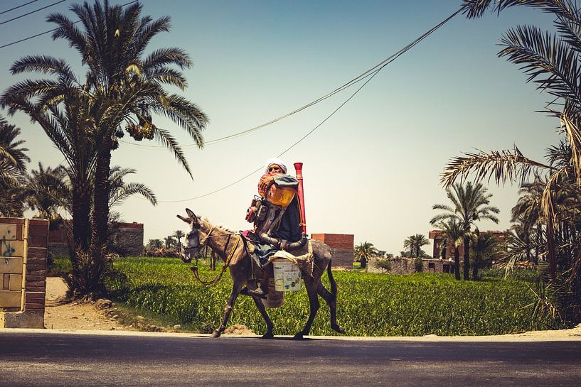 Les rues de l'Egypte âne (Le Caire et Fayoum) 05 par FotoDennis.com | Werk op de Muur