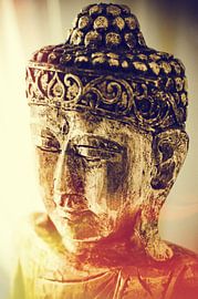 Tête de Bouddha en or sur Andrea Diepeveen-Loot