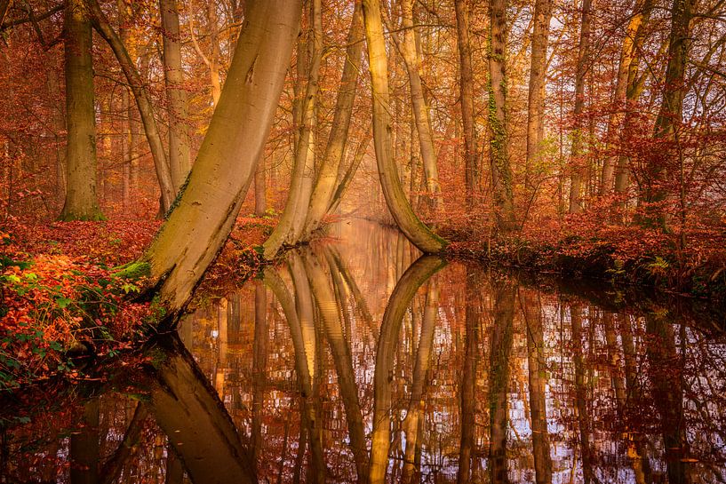 Dancing by Wilko Ketelaar