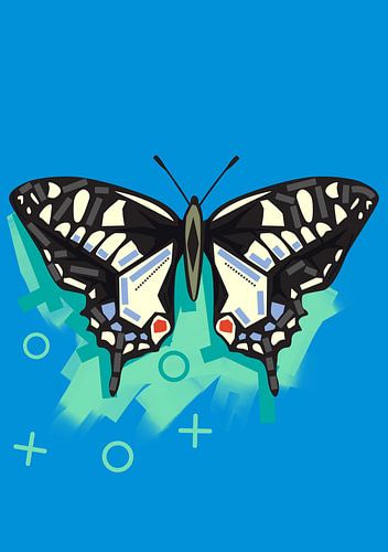 Weißer Schmetterling