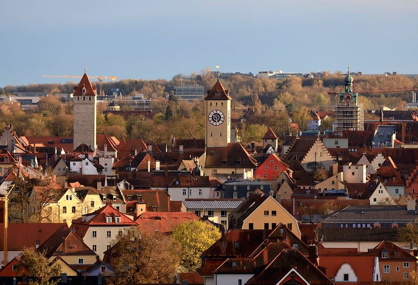 Vue sur Ratisbonne par Thomas Jäger