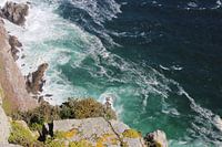 Vagues près d'une falaise
