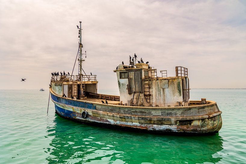 Boot mit Kormoranen von Anneke Hooijer