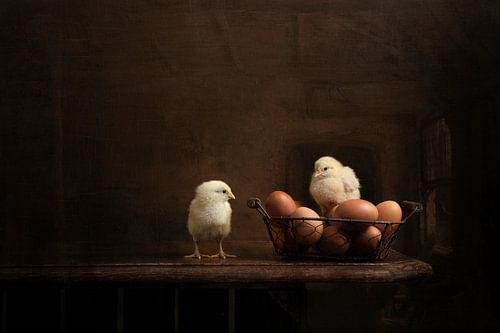 Chicks in a basket by Elles Rijsdijk