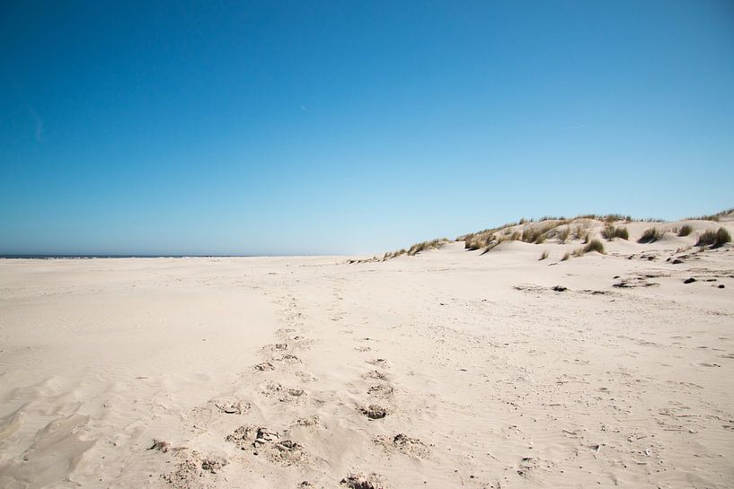 Beach on Schiermonnikoog by Merel van Luijk
