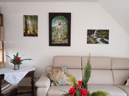 Een ochtend in het bos met felle zonneschijn