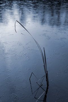 Rêve d'hiver bleu sur un lac gelé