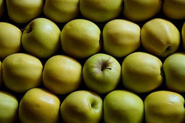 Portrait of fresh apples by Jan Van Bizar