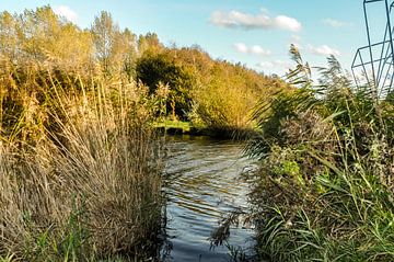 l'automne sur le front de mer