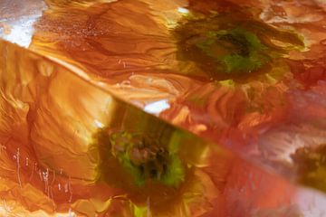 Coquelicot d'Islande dans de la glace cristalline 1 sur Marc Heiligenstein